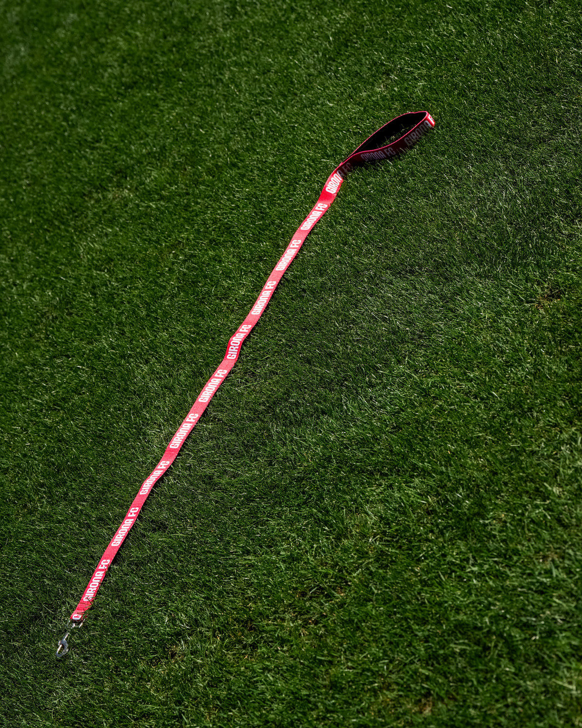 Dog Leash