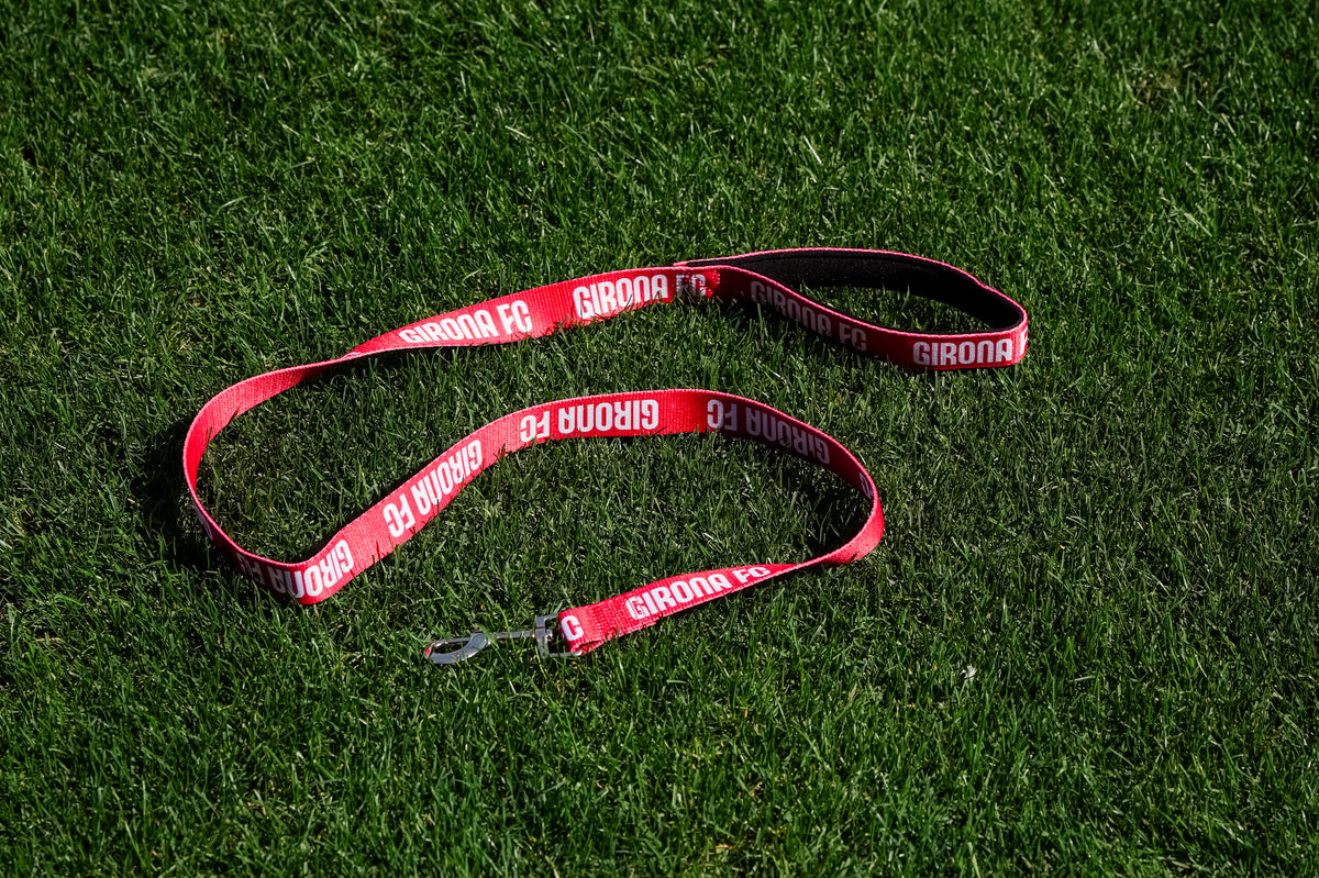 Dog Leash