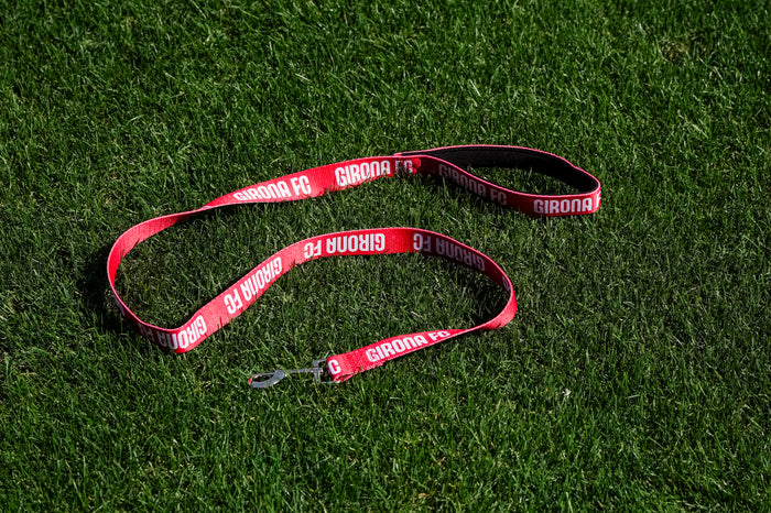 Dog Leash