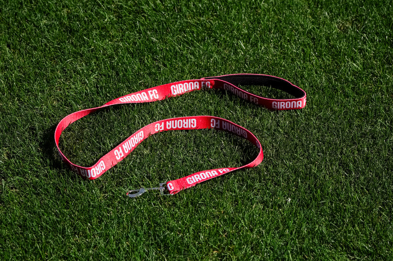 Dog Leash