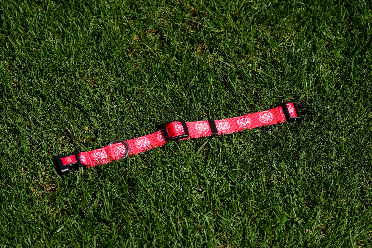 Dog collar