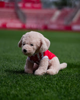 Peluix CANYA