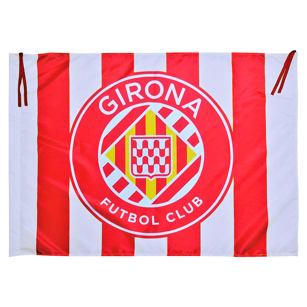 Bandera Oficial Franjas 100x70 cm