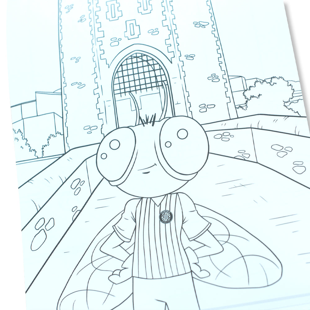 llibre Per Pintar
